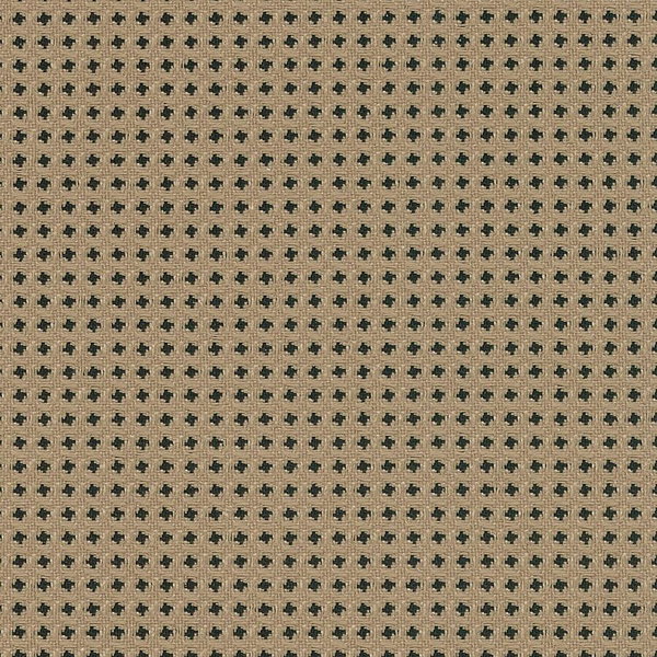 LLR6200133