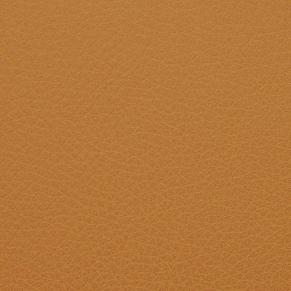 LLR6200130