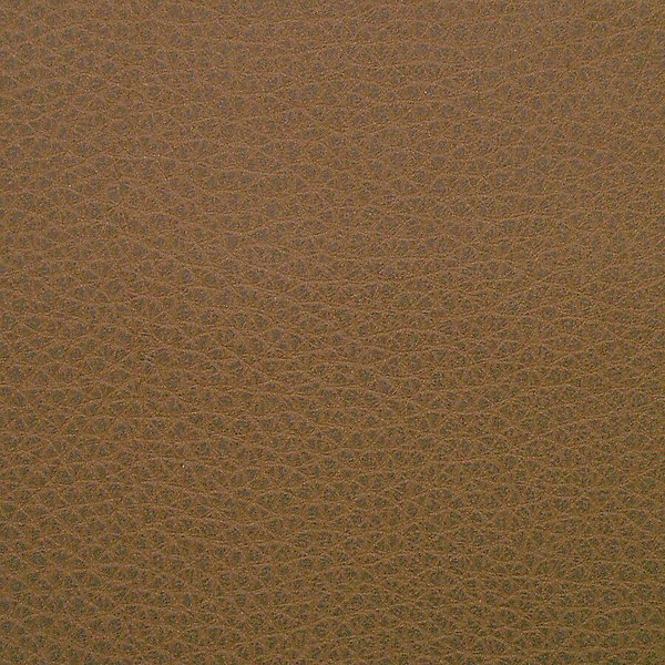 LLR6200828
