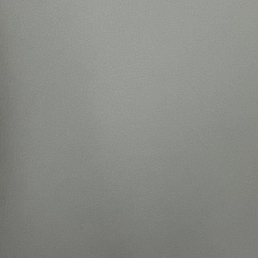 LLR63291
