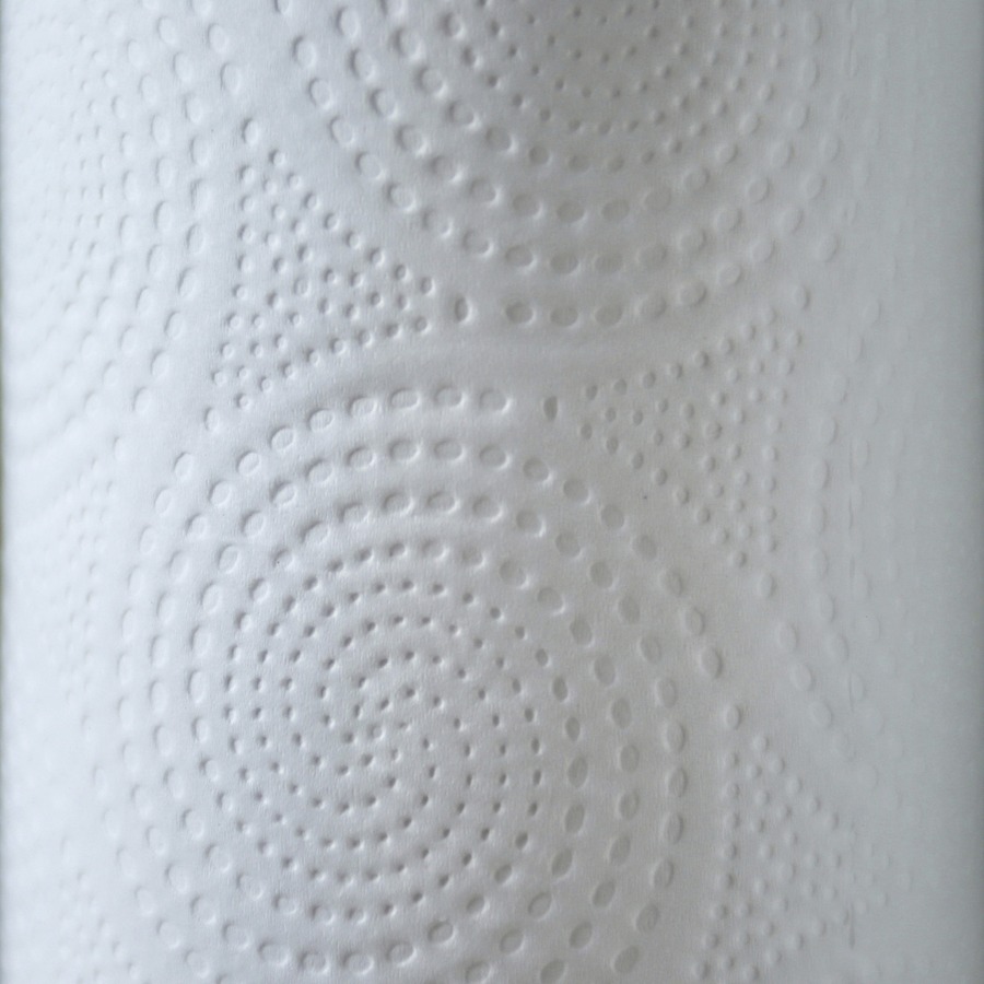 GJO24085