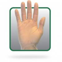 Small Powder Free Vinyl Gloves