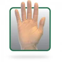 XLarge Powder Free Vinyl Gloves