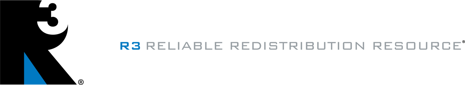 R3 SAFETY LLC