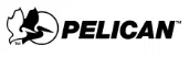 Pelican